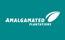 Amalgamated plantations