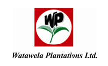 Watawala Plantations