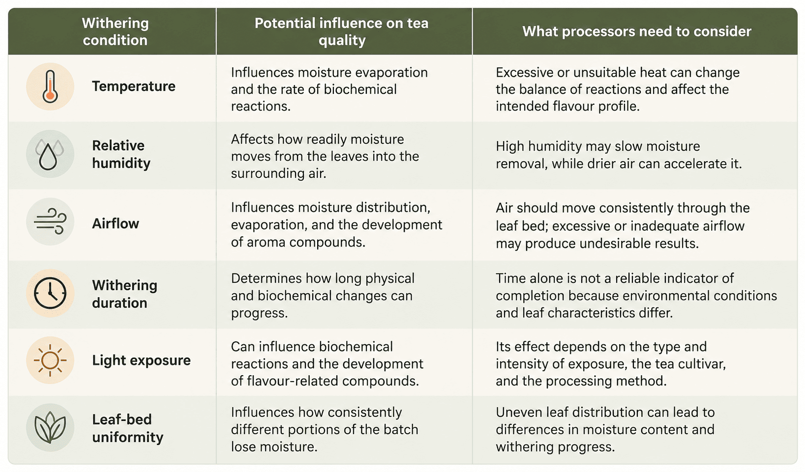 Table showing how temperature, humidity, airflow, withering duration, light exposure, and leaf-bed uniformity influence tea quality and key considerations for tea processors.